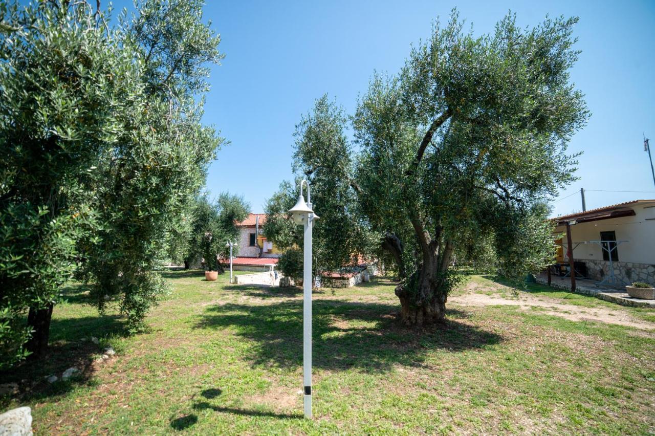 Coppola Rossa Relax Bed and Breakfast Vieste Buitenkant foto