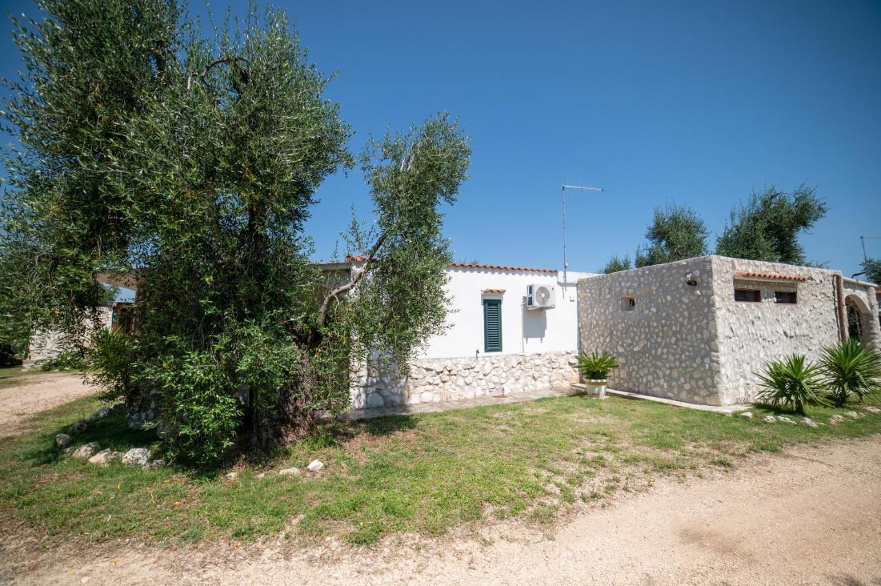 Coppola Rossa Relax Bed and Breakfast Vieste Buitenkant foto