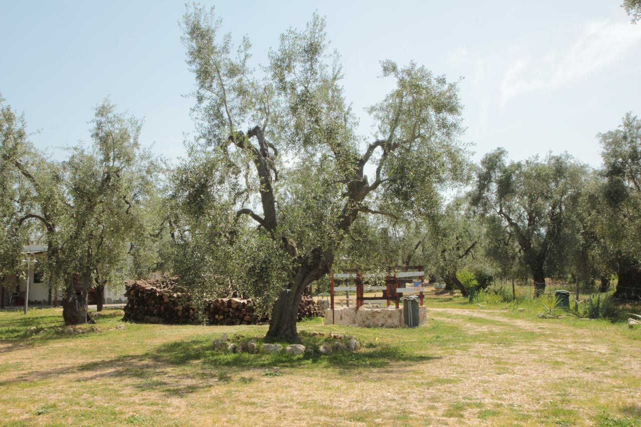 Coppola Rossa Relax Bed and Breakfast Vieste Buitenkant foto